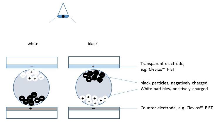 图3：Clevios™导电聚合物作为透明电极在电子纸显示器中的应用
