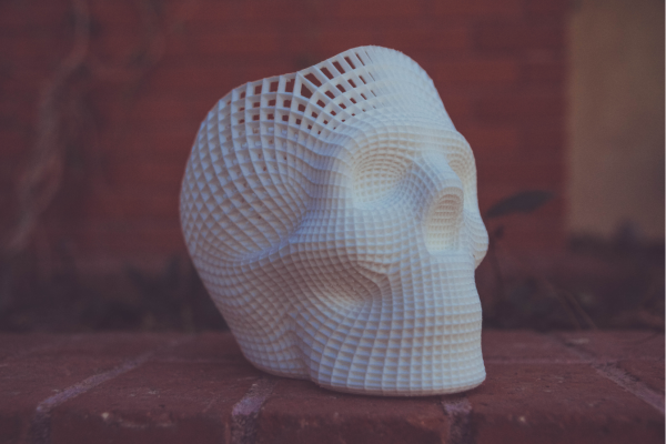 3D printed skull