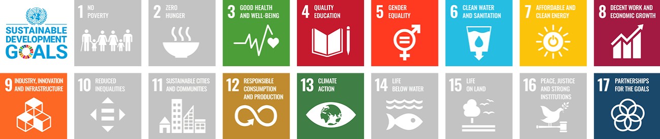 可持续发展目标 (SDG)
